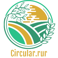 Circular.rur Logo